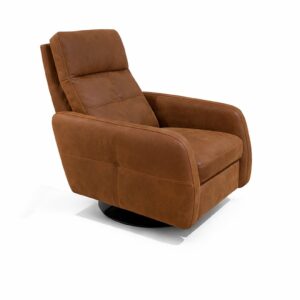 STRAY RECLINER